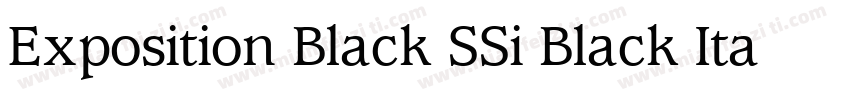 Exposition Black SSi Black Italic字体转换